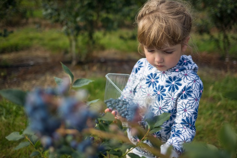Canon 35mm f/2.0 IS - Girl picking blueberries