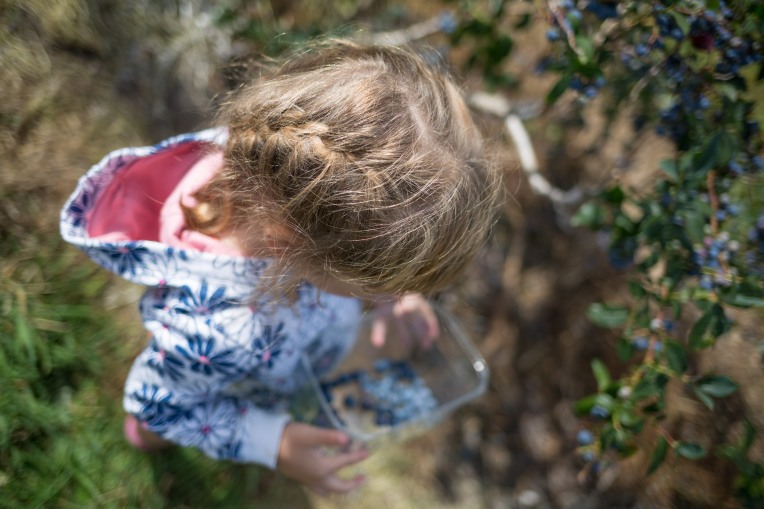 Canon 35mm f/2.0 IS - Girl picking blueberries
