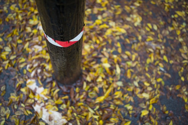 Canon 35mm f/1.4 L ii - Test shot